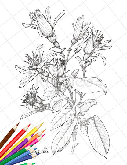 30 Botanical Flowers Printable Coloring Pages for Adults, Floral Grayscale Coloring Book, Printable PDF File Download