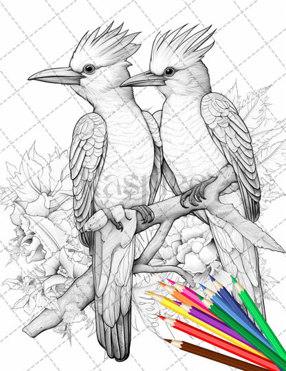 31 Tropical Birds Coloring Book for Adults, Grayscale Coloring Page, Printable PDF Instant Download