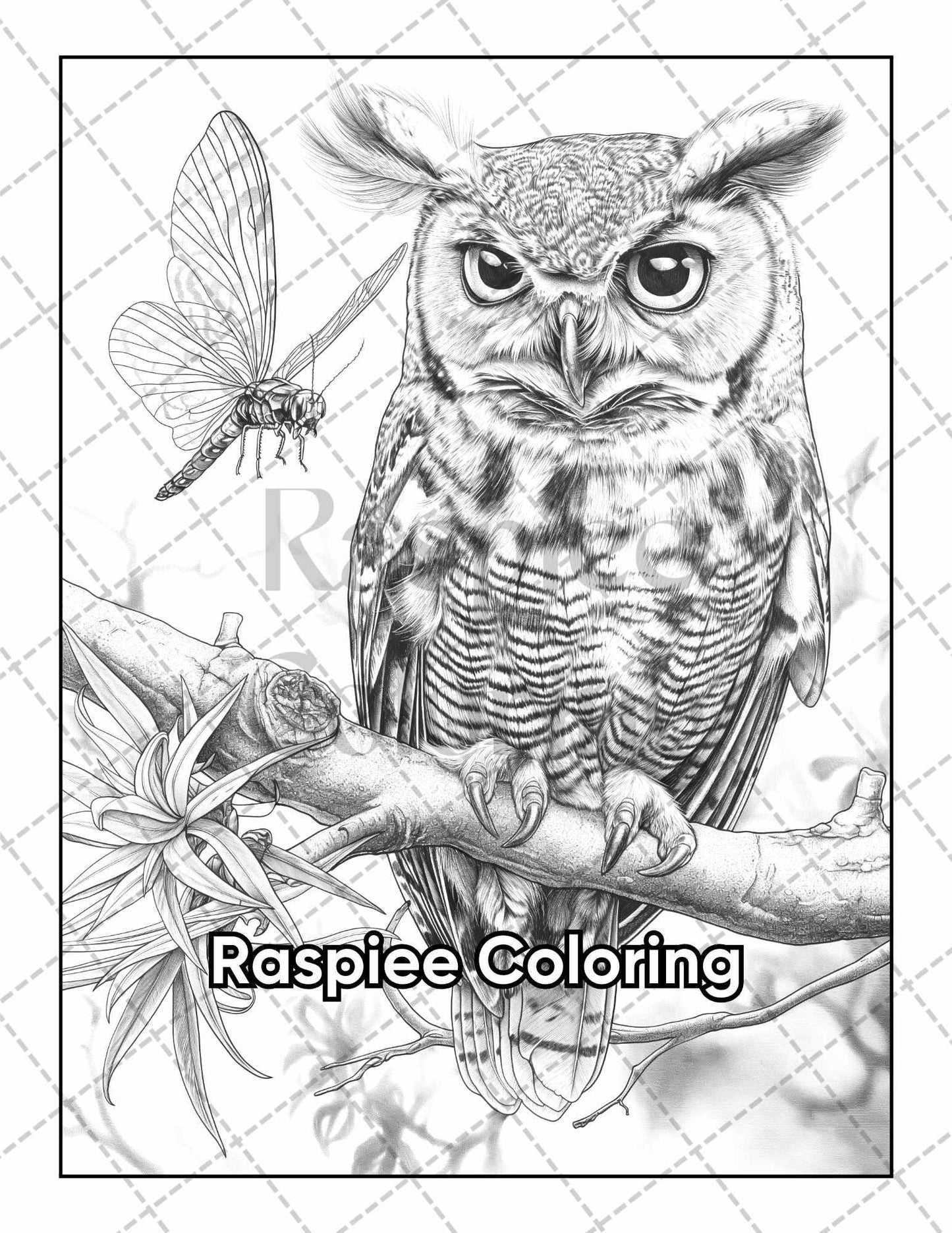 50 Baby Woodland Creatures Adult Coloring Pages Printable PDF Instant Download