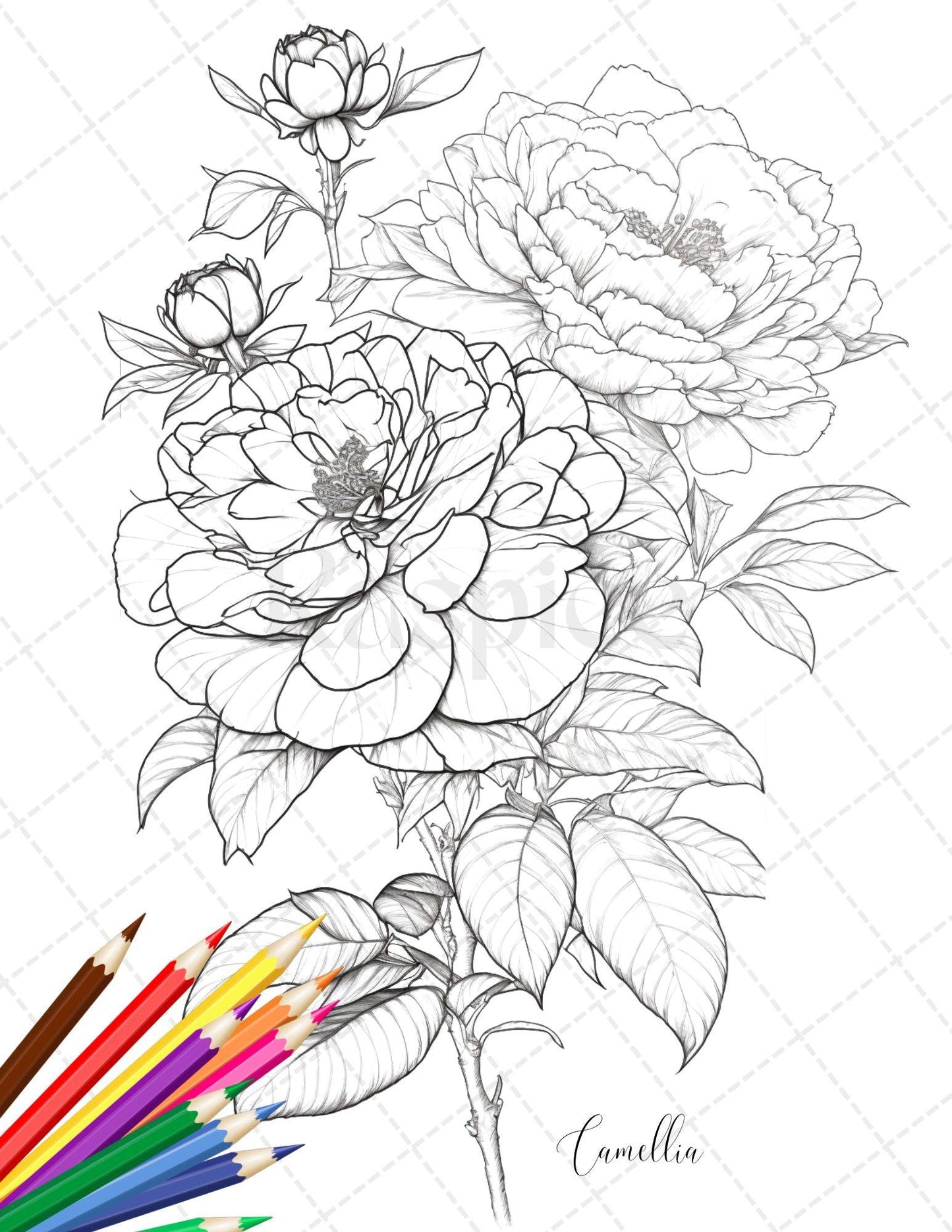 30 Botanical Flowers Printable Coloring Pages for Adults, Floral Grayscale Coloring Book, Printable PDF File Download