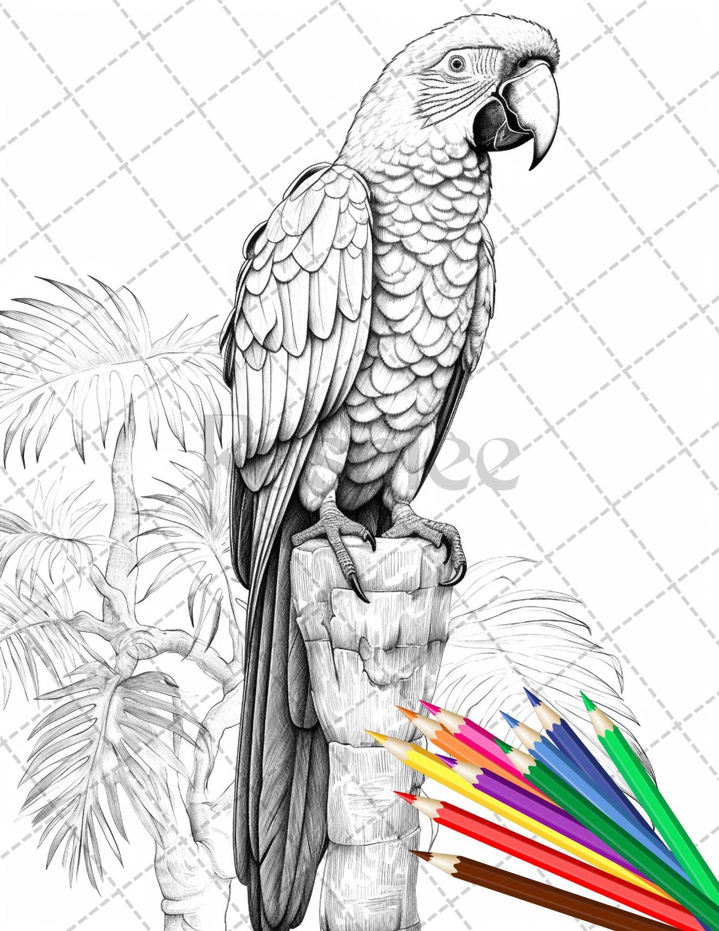 31 Tropical Birds Coloring Book for Adults, Grayscale Coloring Page, Printable PDF Instant Download