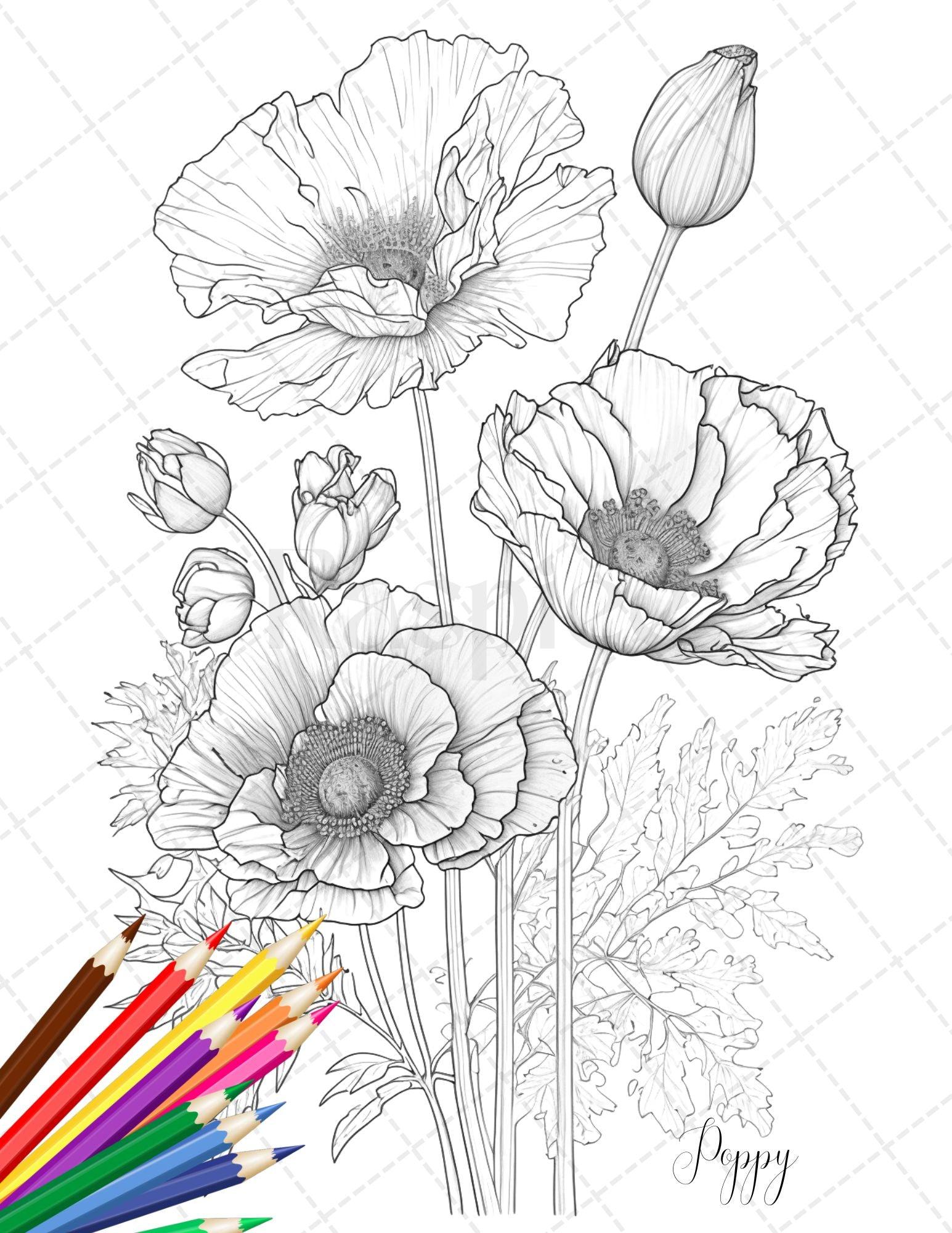 30 Botanical Flowers Printable Coloring Pages for Adults, Floral Grayscale Coloring Book, Printable PDF File Download