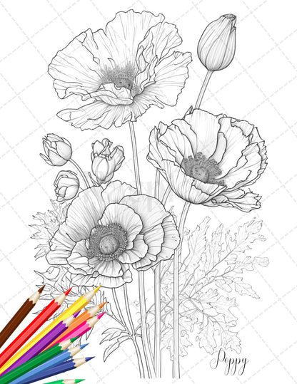 30 Botanical Flowers Printable Coloring Pages for Adults, Floral Grayscale Coloring Book, Printable PDF File Download