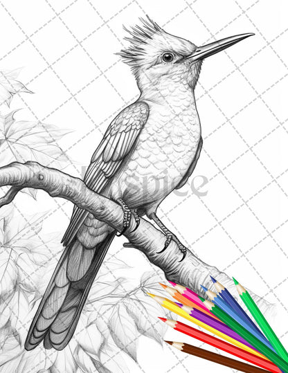 31 Tropical Birds Coloring Book for Adults, Grayscale Coloring Page, Printable PDF Instant Download