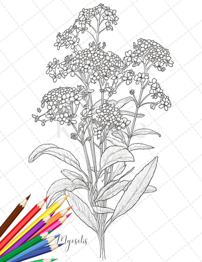 30 Botanical Flowers Printable Coloring Pages for Adults, Floral Grayscale Coloring Book, Printable PDF File Download