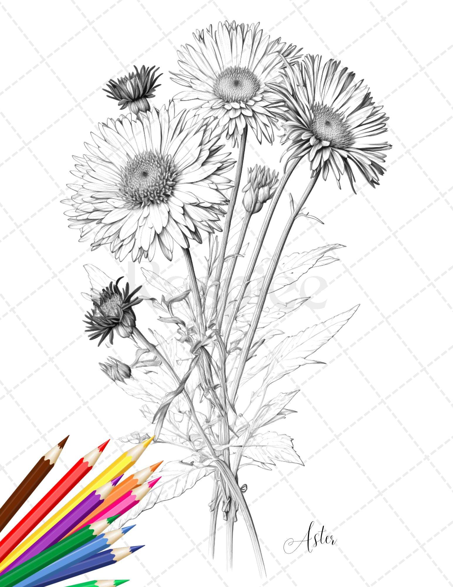 30 Botanical Flowers Printable Coloring Pages for Adults, Floral Grayscale Coloring Book, Printable PDF File Download