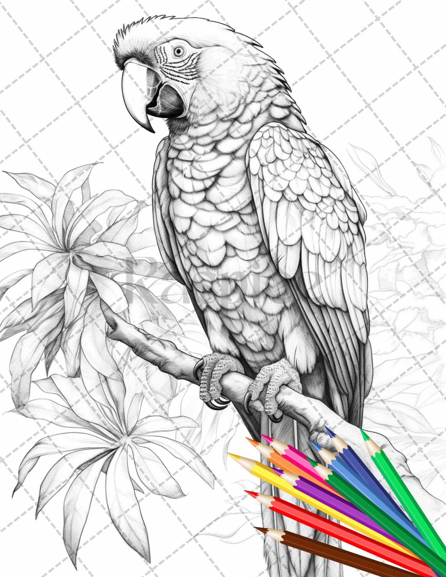 31 Tropical Birds Coloring Book for Adults, Grayscale Coloring Page, Printable PDF Instant Download