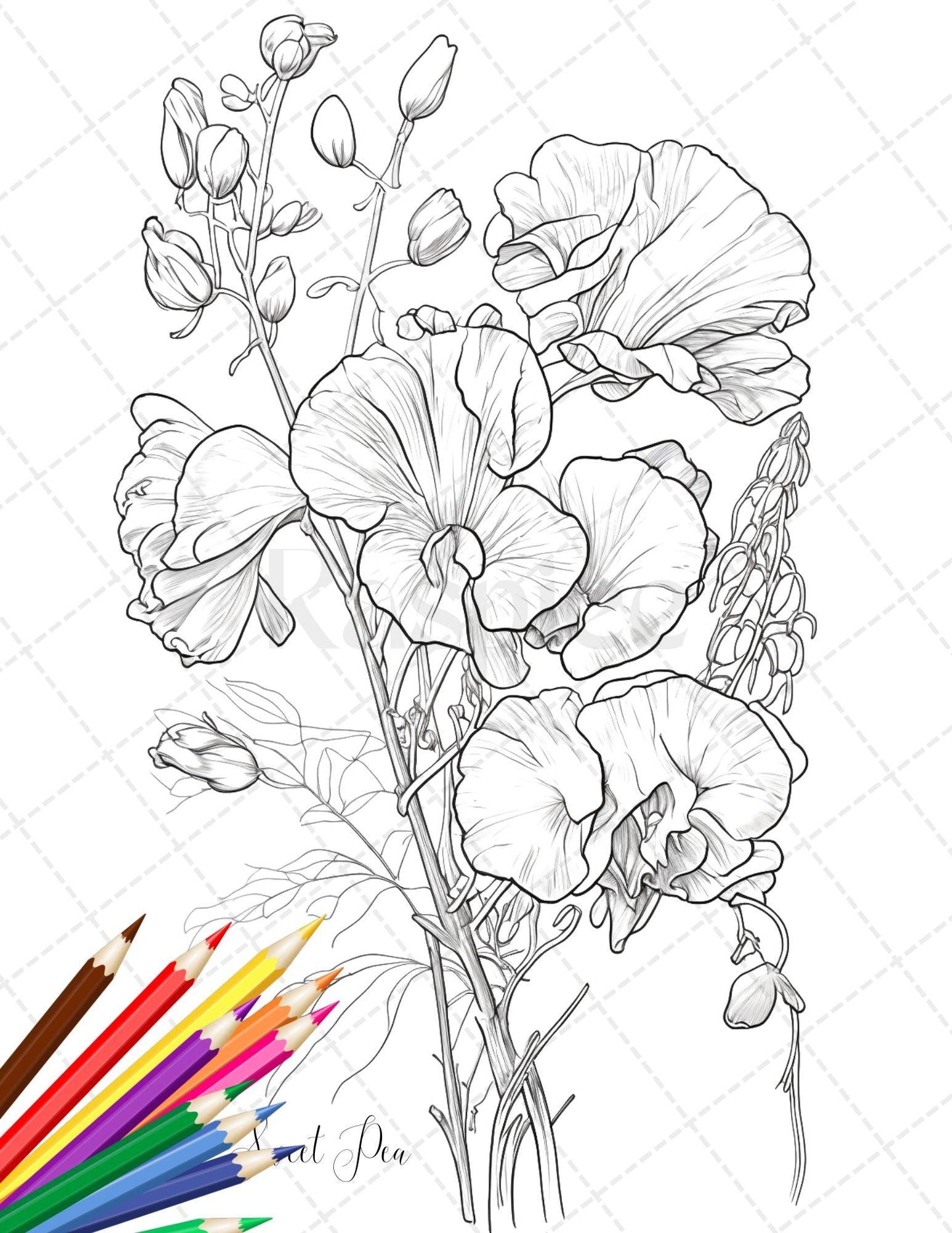 30 Botanical Flowers Printable Coloring Pages for Adults, Floral Grayscale Coloring Book, Printable PDF File Download