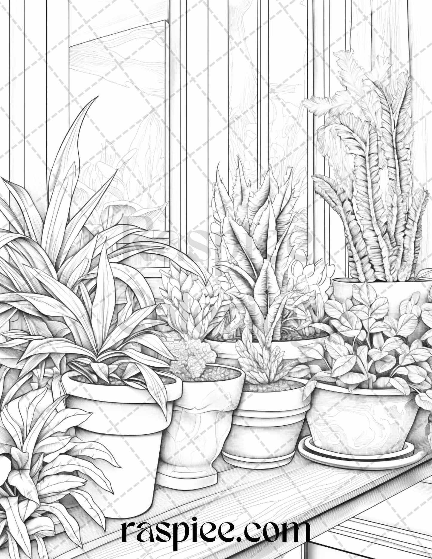 40 Window Plants Grayscale Coloring Pages Printable for Adults, PDF File Instant Download