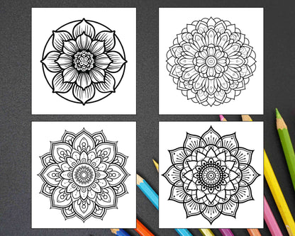 250 Mandala Adult Coloring Pages Vol.3