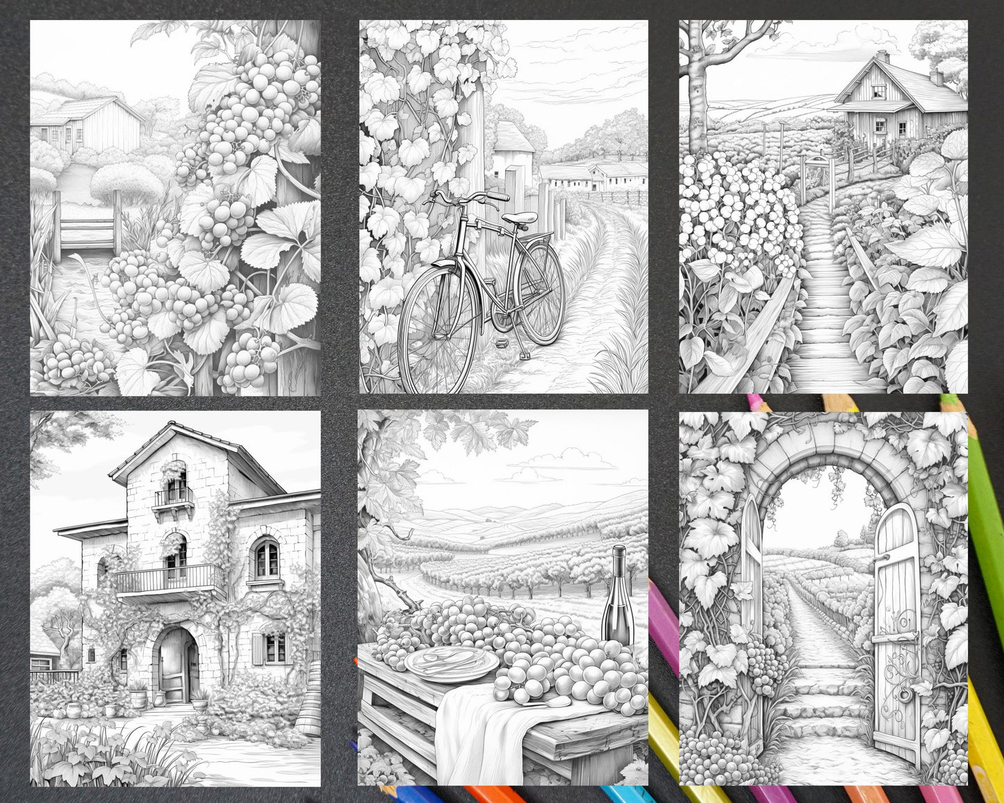 40 Spring Vineyard Grayscale Adult Coloring Pages, Printable PDF Instant Download