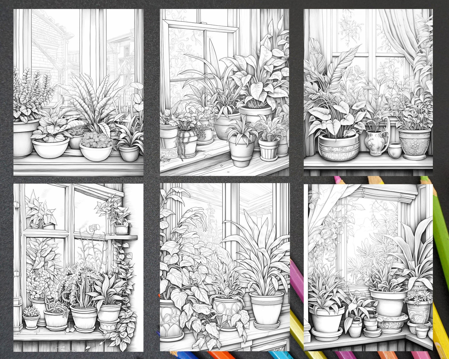 40 Window Plants Grayscale Coloring Pages Printable for Adults, PDF File Instant Download