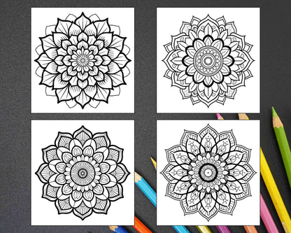 250 Mandala Adult Coloring Pages Vol.4