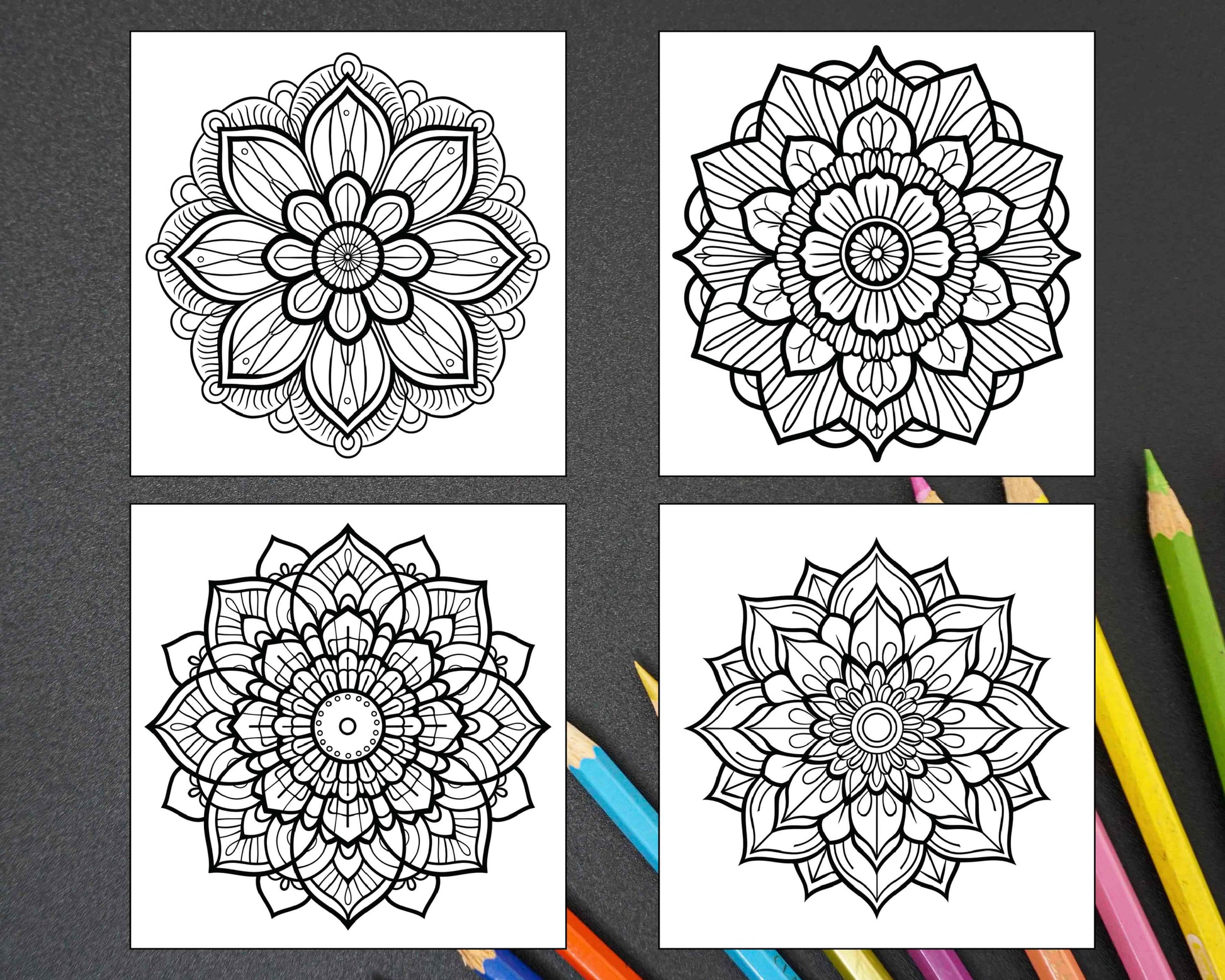 250 Mandala Adult Coloring Pages Vol.1