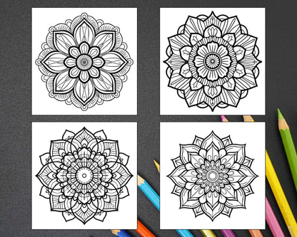 250 Mandala Adult Coloring Pages Vol.1