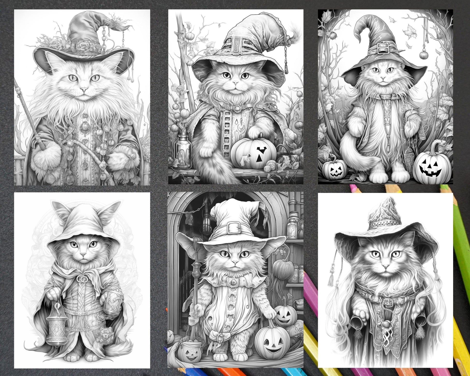 40 Halloween Witch Cat Grayscale Coloring Pages Printable for Adults, PDF File Instant Download