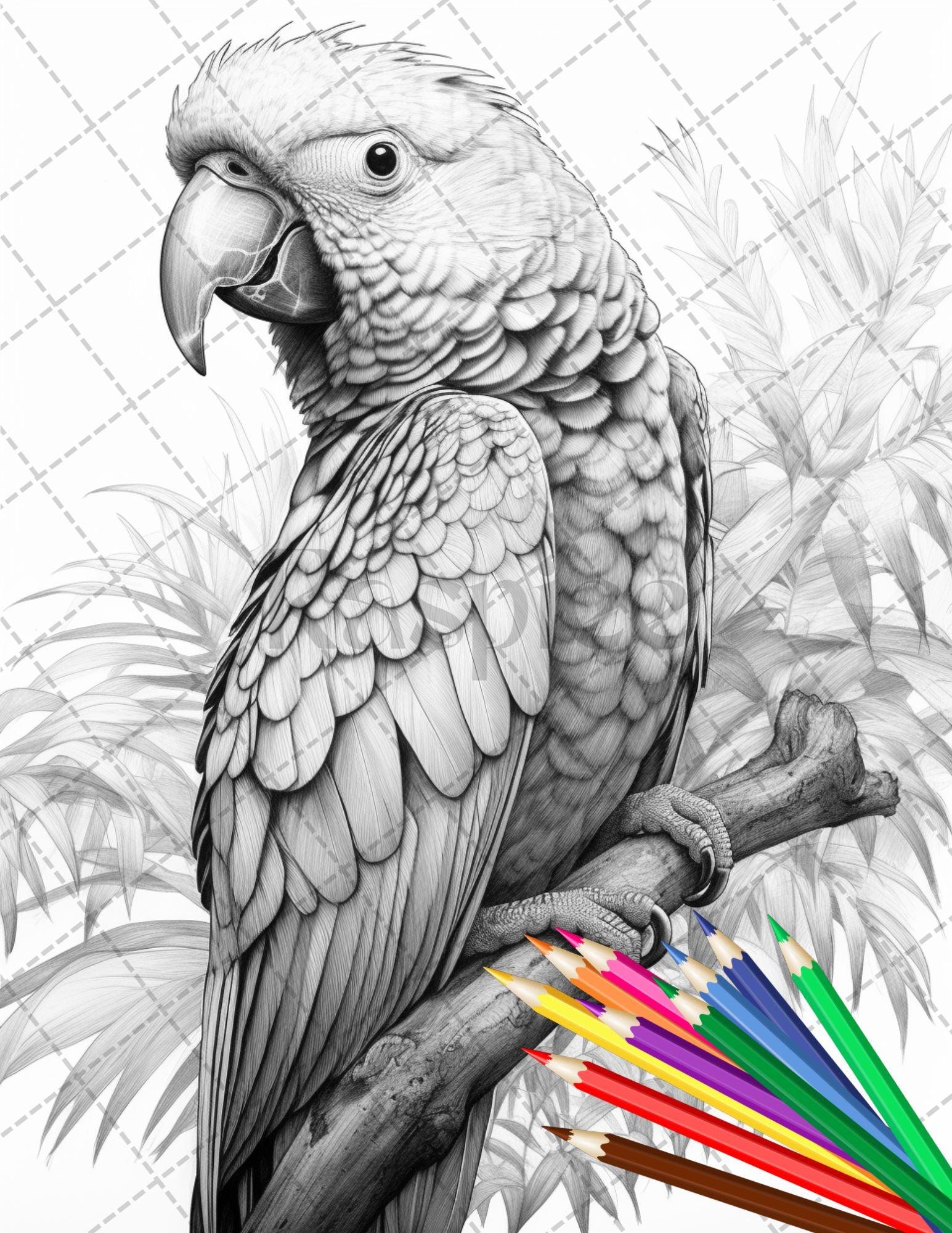 31 Tropical Birds Coloring Book for Adults, Grayscale Coloring Page, Printable PDF Instant Download