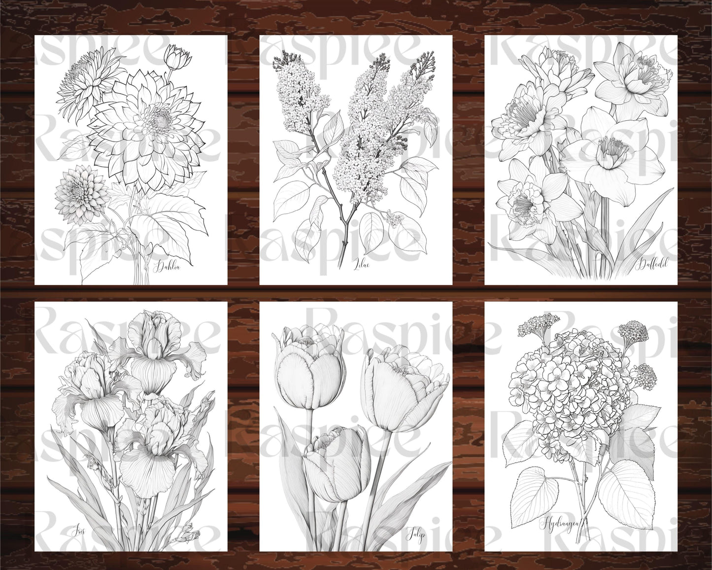 30 Botanical Flowers Printable Coloring Pages for Adults, Floral Grayscale Coloring Book, Printable PDF File Download