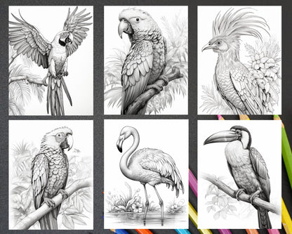 31 Tropical Birds Coloring Book for Adults, Grayscale Coloring Page, Printable PDF Instant Download