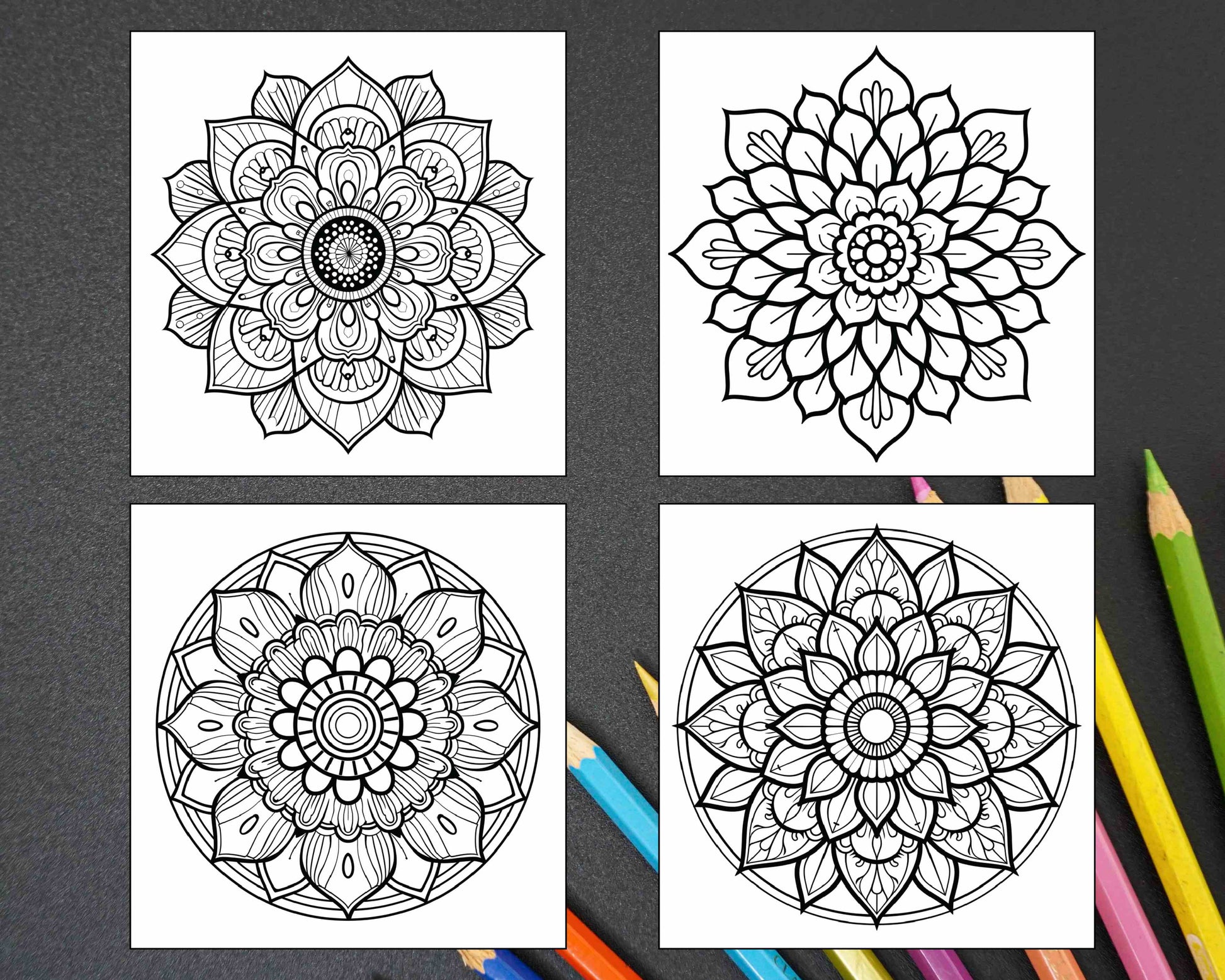 250 Mandala Adult Coloring Pages Vol.2