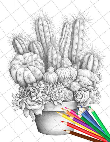 40 Charming Cactus Pots Grayscale Coloring Pages Printable for Adults, PDF File Instant Download