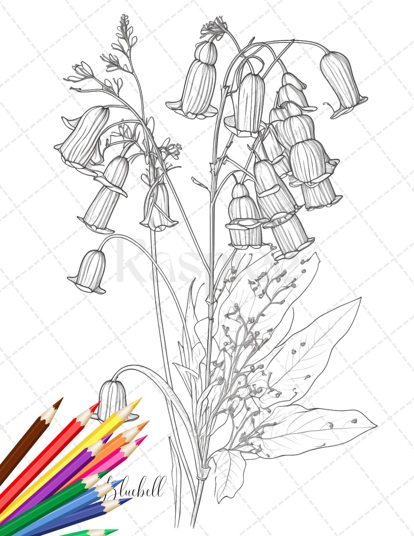 30 Botanical Flowers Printable Coloring Pages for Adults, Floral Grayscale Coloring Book, Printable PDF File Download