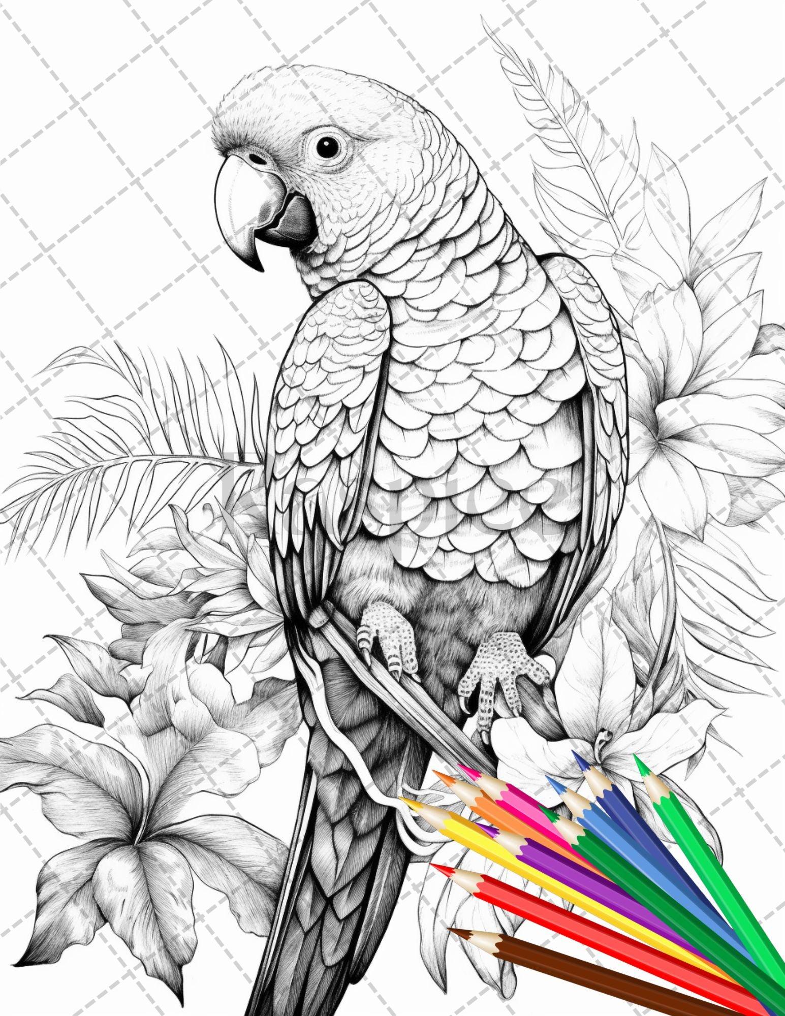 31 Tropical Birds Coloring Book for Adults, Grayscale Coloring Page, Printable PDF Instant Download