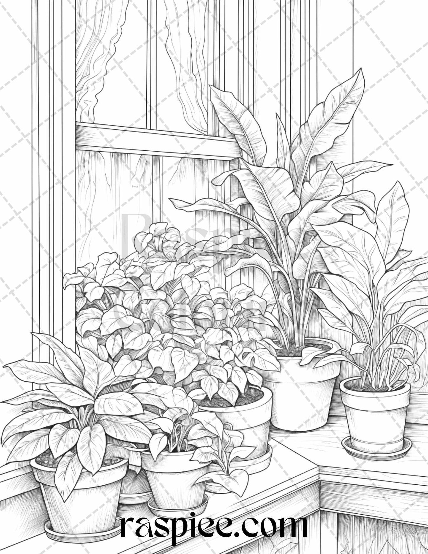 40 Window Plants Grayscale Coloring Pages Printable for Adults, PDF File Instant Download