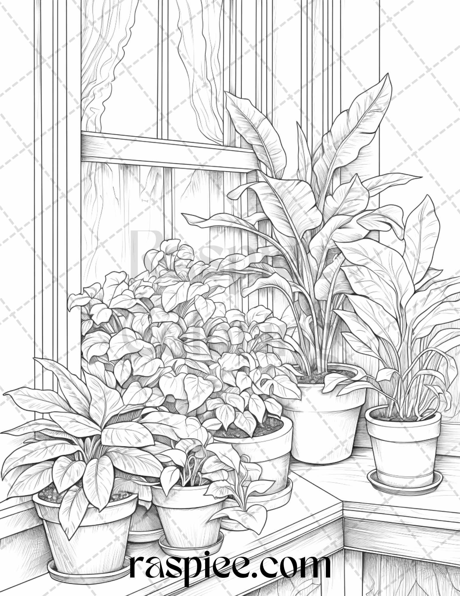 40 Window Plants Grayscale Coloring Pages Printable for Adults, PDF File Instant Download