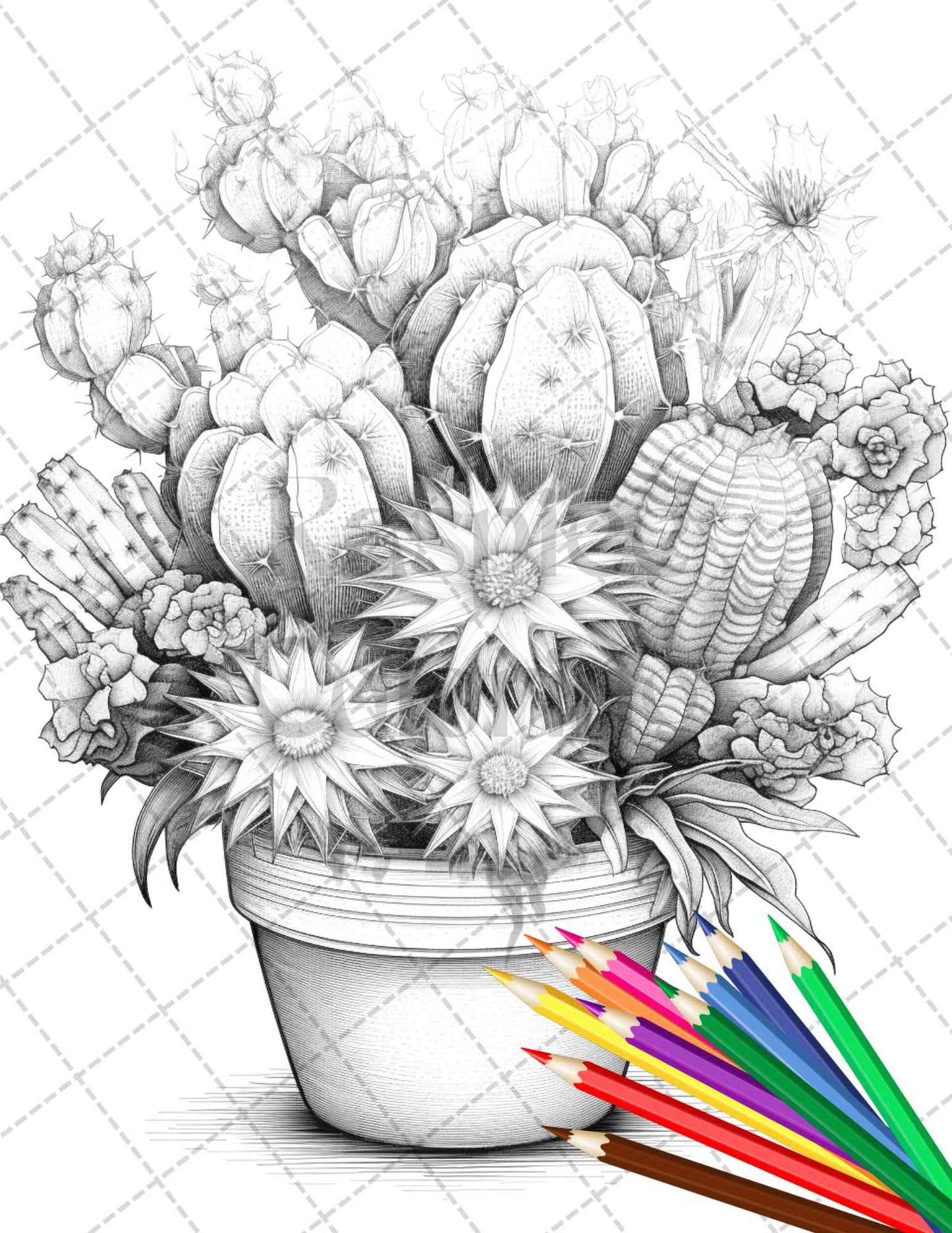 40 Charming Cactus Pots Grayscale Coloring Pages Printable for Adults, PDF File Instant Download