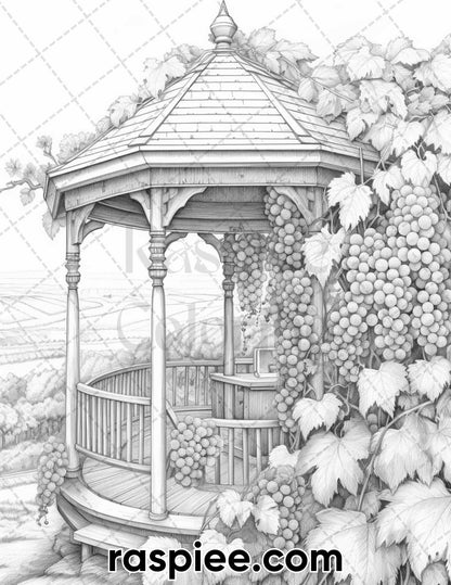 40 Spring Vineyard Grayscale Adult Coloring Pages, Printable PDF Instant Download