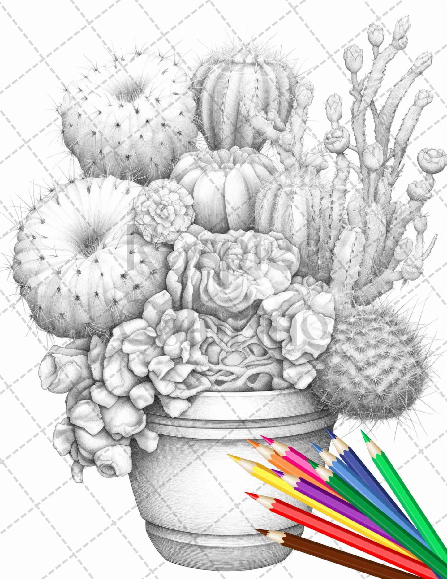 40 Charming Cactus Pots Grayscale Coloring Pages Printable for Adults, PDF File Instant Download