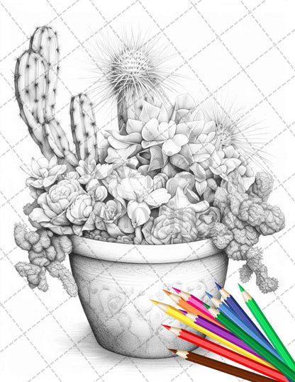 40 Charming Cactus Pots Grayscale Coloring Pages Printable for Adults, PDF File Instant Download