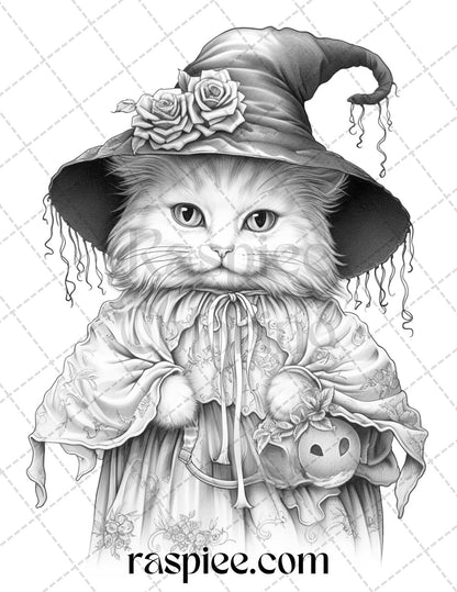 40 Halloween Witch Cat Grayscale Coloring Pages Printable for Adults, PDF File Instant Download