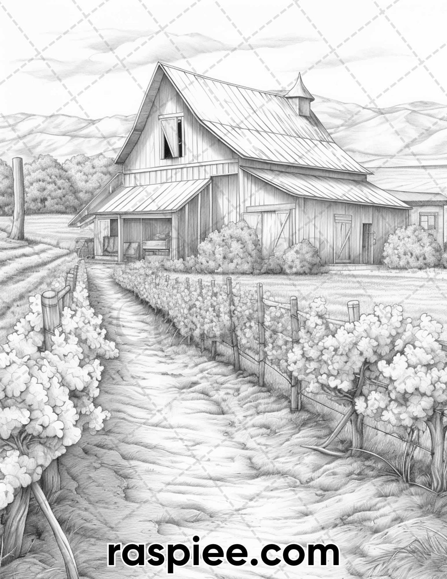 40 Spring Vineyard Grayscale Adult Coloring Pages, Printable PDF Instant Download