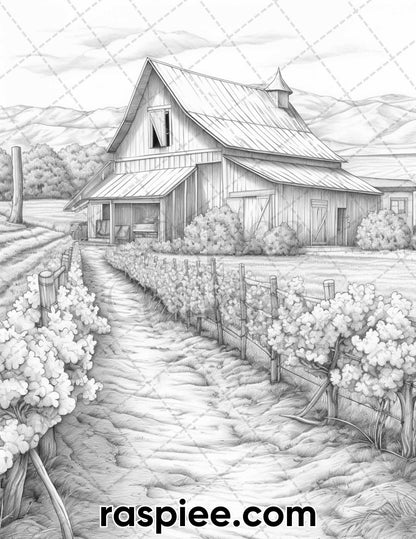 40 Spring Vineyard Grayscale Adult Coloring Pages, Printable PDF Instant Download