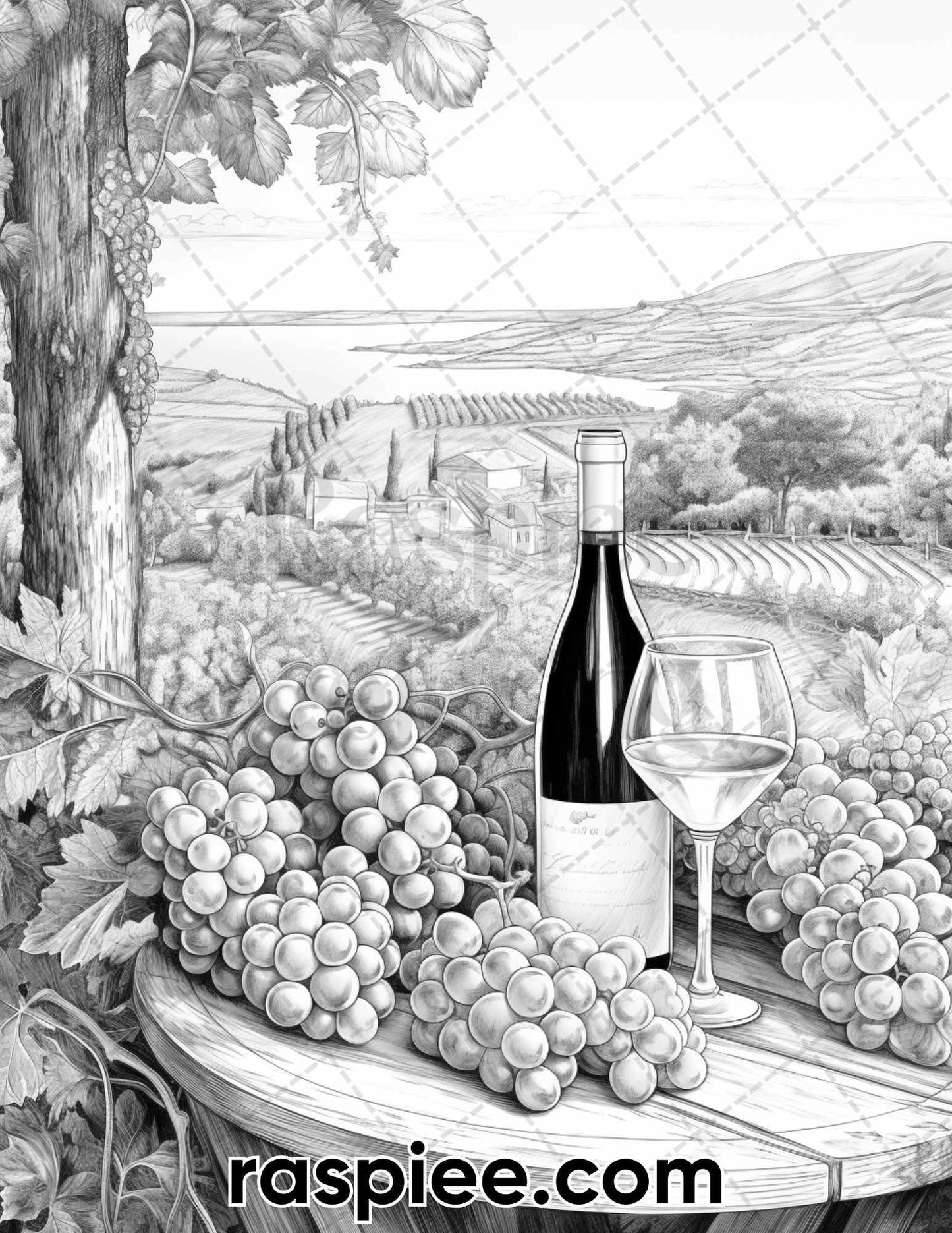 40 Spring Vineyard Grayscale Adult Coloring Pages, Printable PDF Instant Download