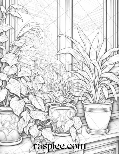 40 Window Plants Grayscale Coloring Pages Printable for Adults, PDF File Instant Download