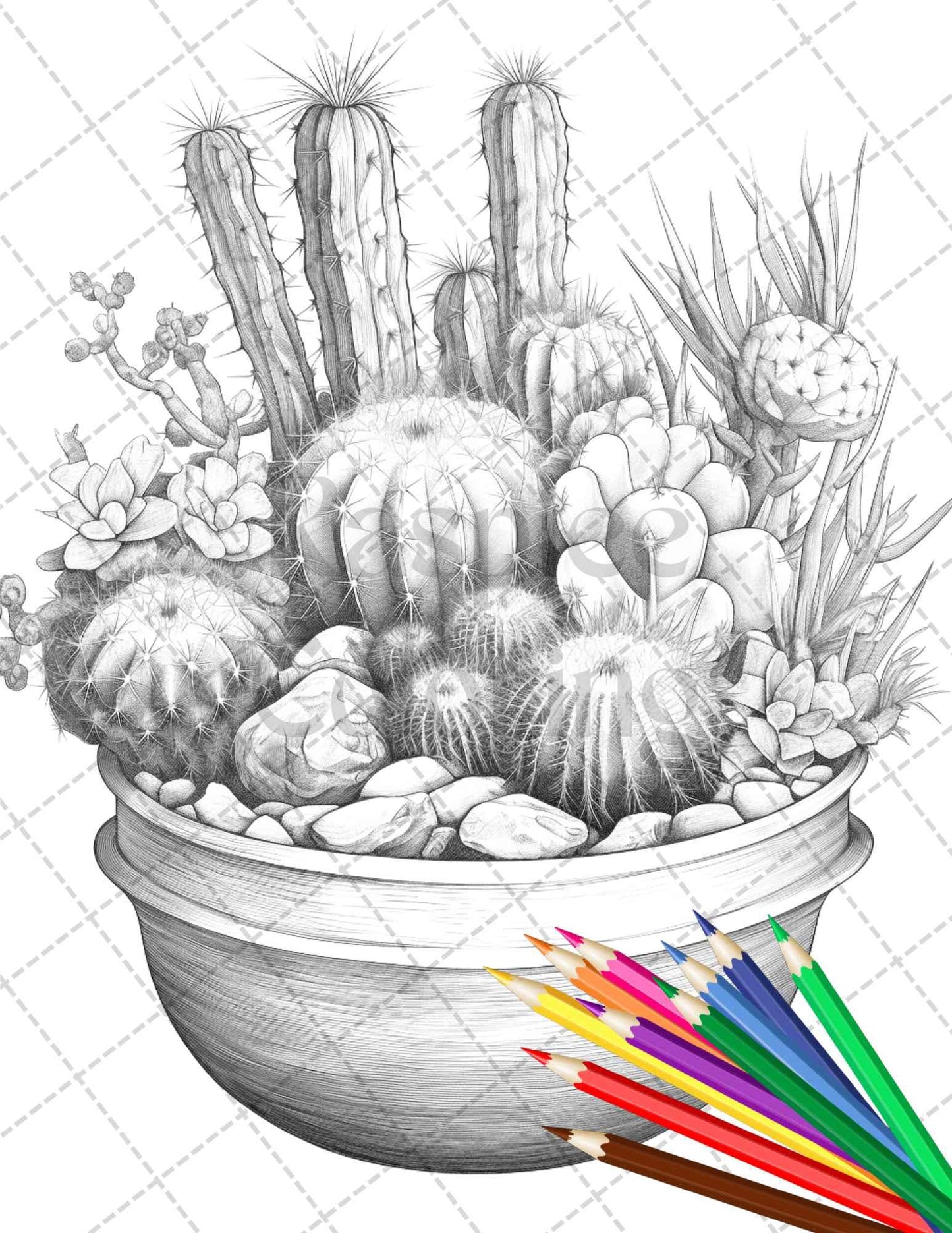 40 Charming Cactus Pots Grayscale Coloring Pages Printable for Adults, PDF File Instant Download