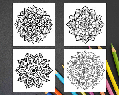 250 Mandala Adult Coloring Pages Vol.2