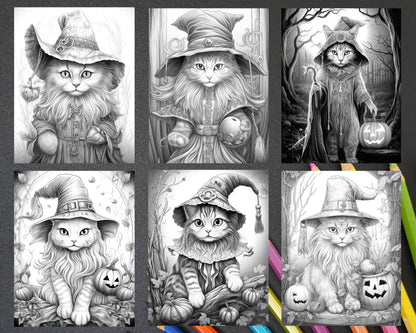 40 Halloween Witch Cat Grayscale Coloring Pages Printable for Adults, PDF File Instant Download