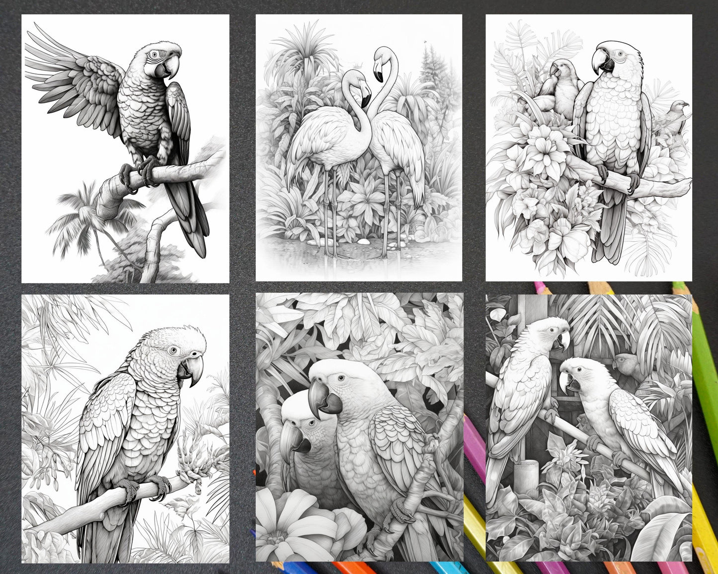 31 Tropical Birds Coloring Book for Adults, Grayscale Coloring Page, Printable PDF Instant Download