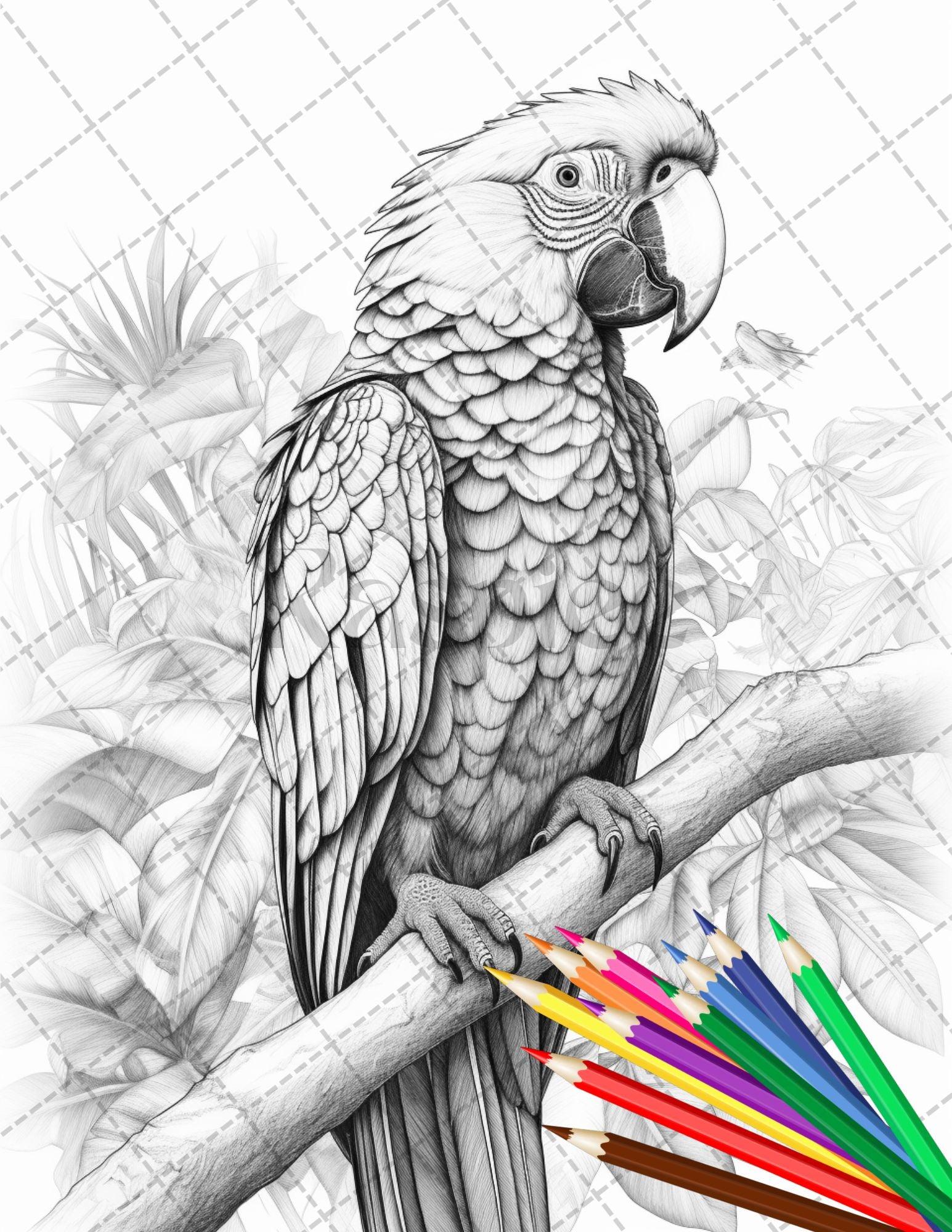 31 Tropical Birds Coloring Book for Adults, Grayscale Coloring Page, Printable PDF Instant Download