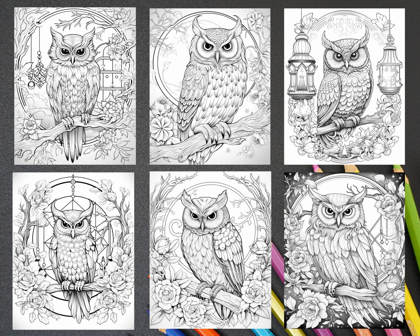 40 Floral Owl Grayscale Printable Coloring Pages for Adults, PDF File Instant Download