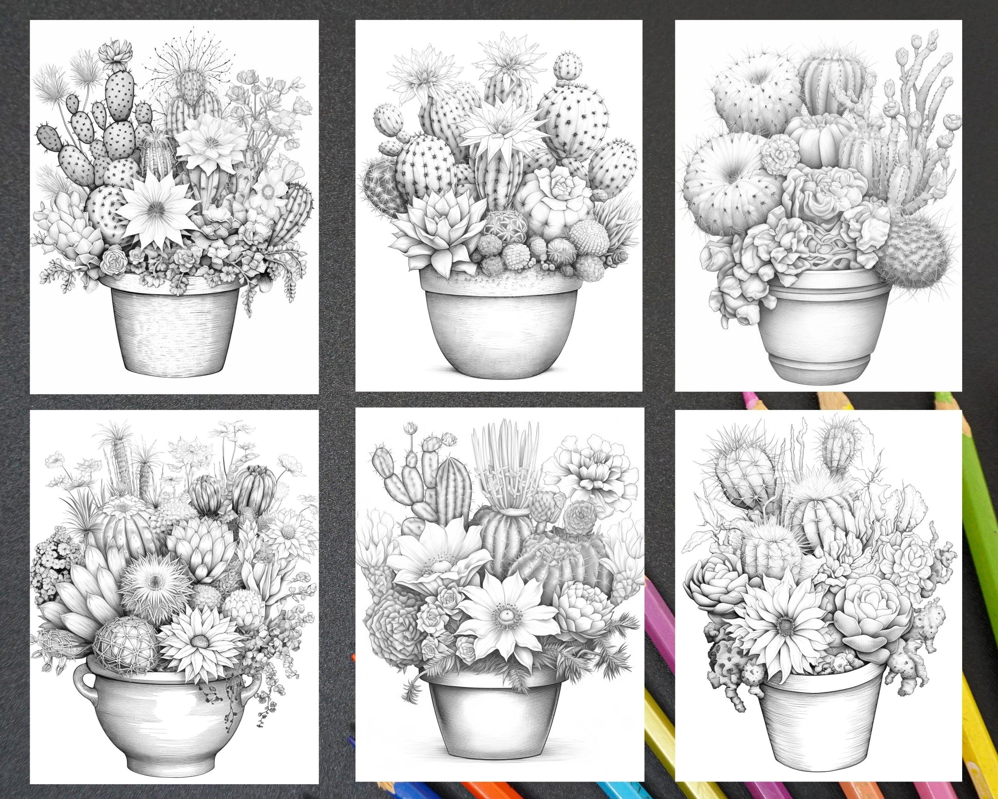 40 Charming Cactus Pots Grayscale Coloring Pages Printable for Adults, PDF File Instant Download