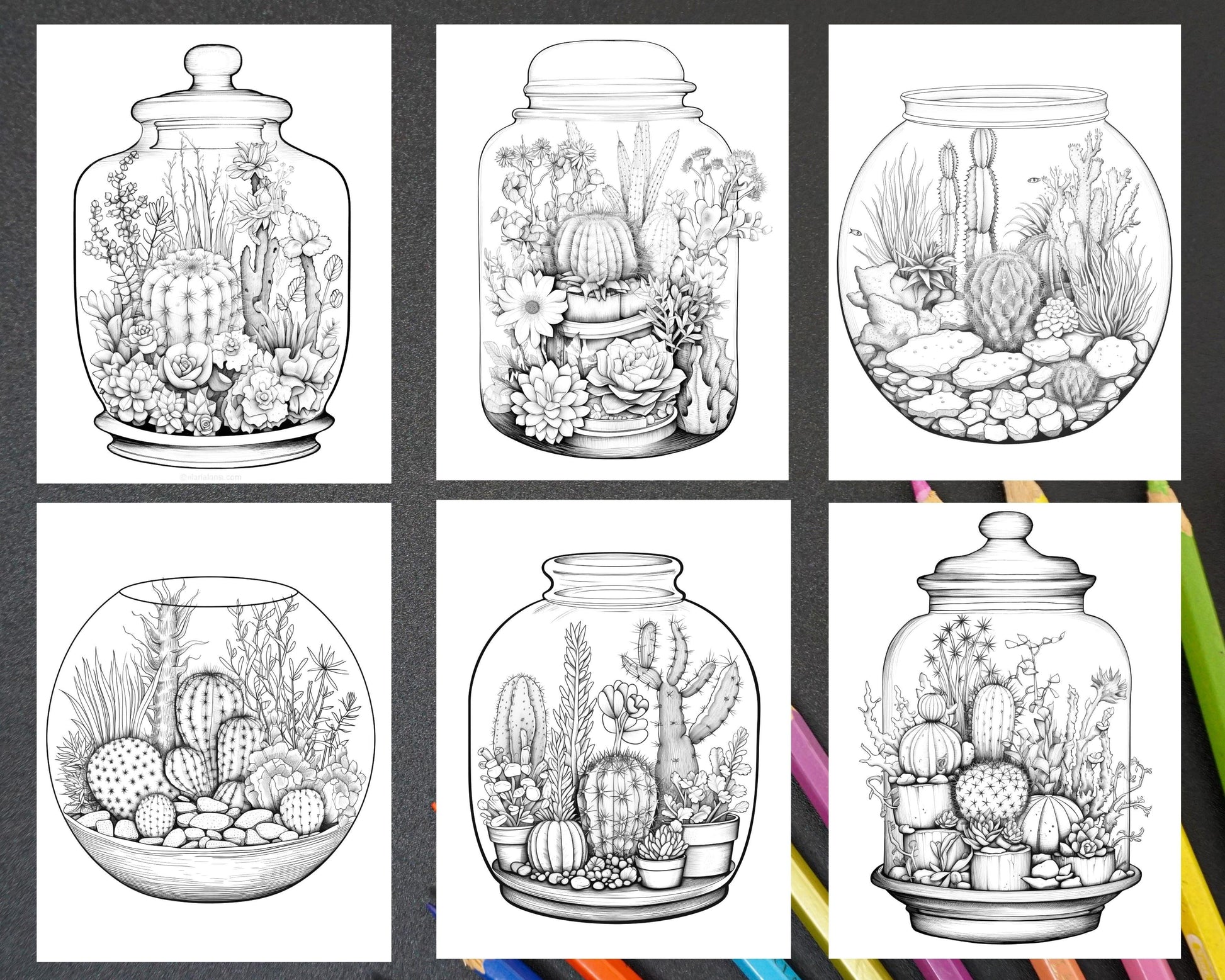 34 Enchanted Terrarium Grayscale Coloring Pages Printable for Adults, PDF File Instant Download