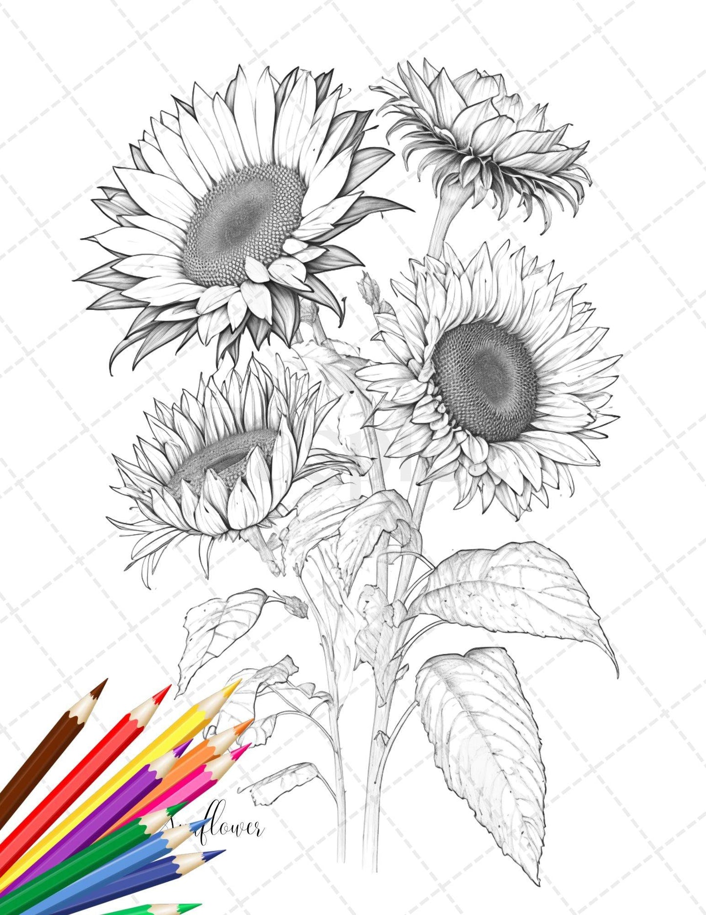 30 Botanical Flowers Printable Coloring Pages for Adults, Floral Grayscale Coloring Book, Printable PDF File Download