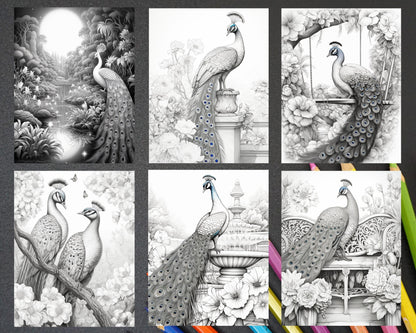 40 Majestic Peacocks Grayscale Adult Coloring Pages, Printable PDF Instant Download