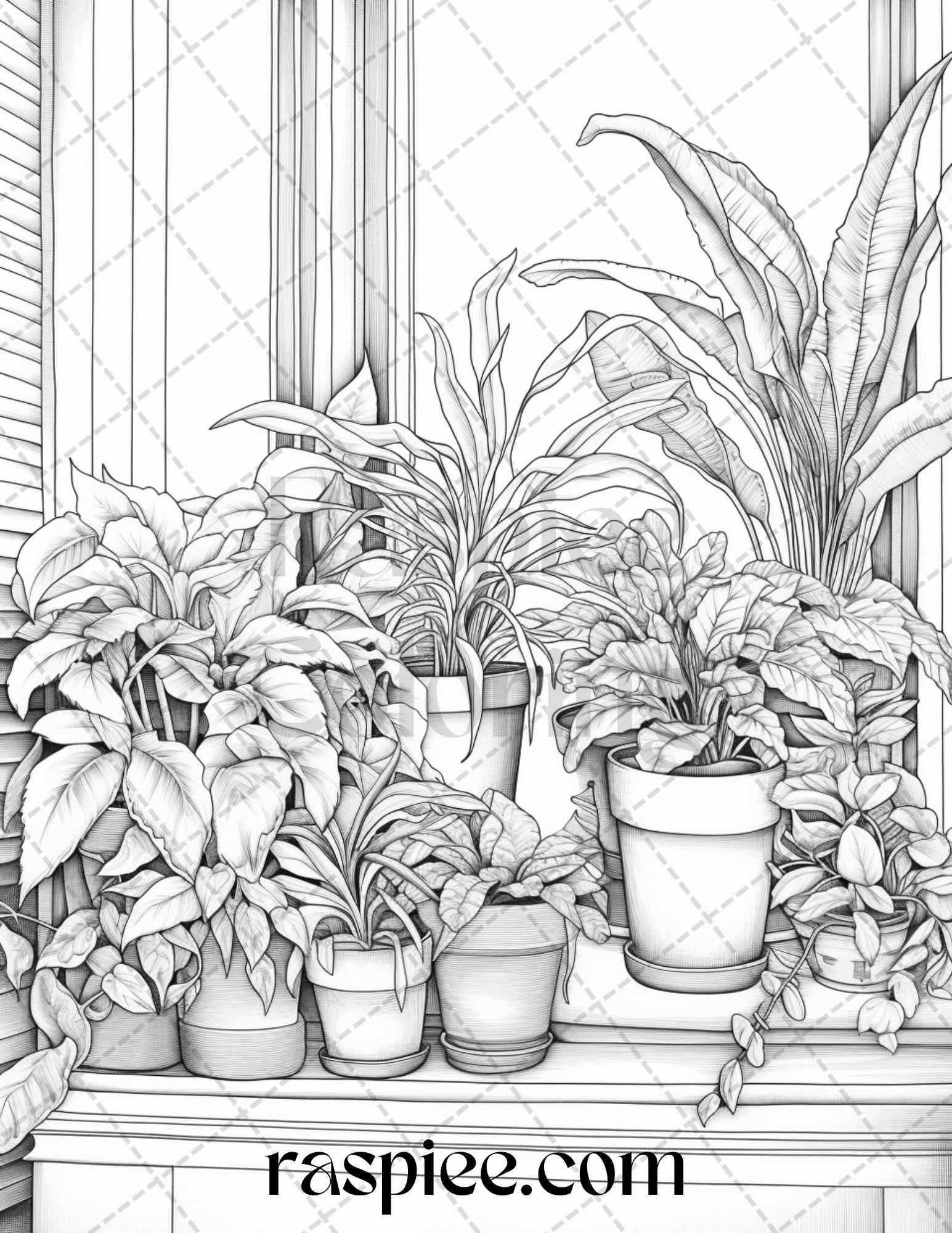 40 Window Plants Grayscale Coloring Pages Printable for Adults, PDF File Instant Download