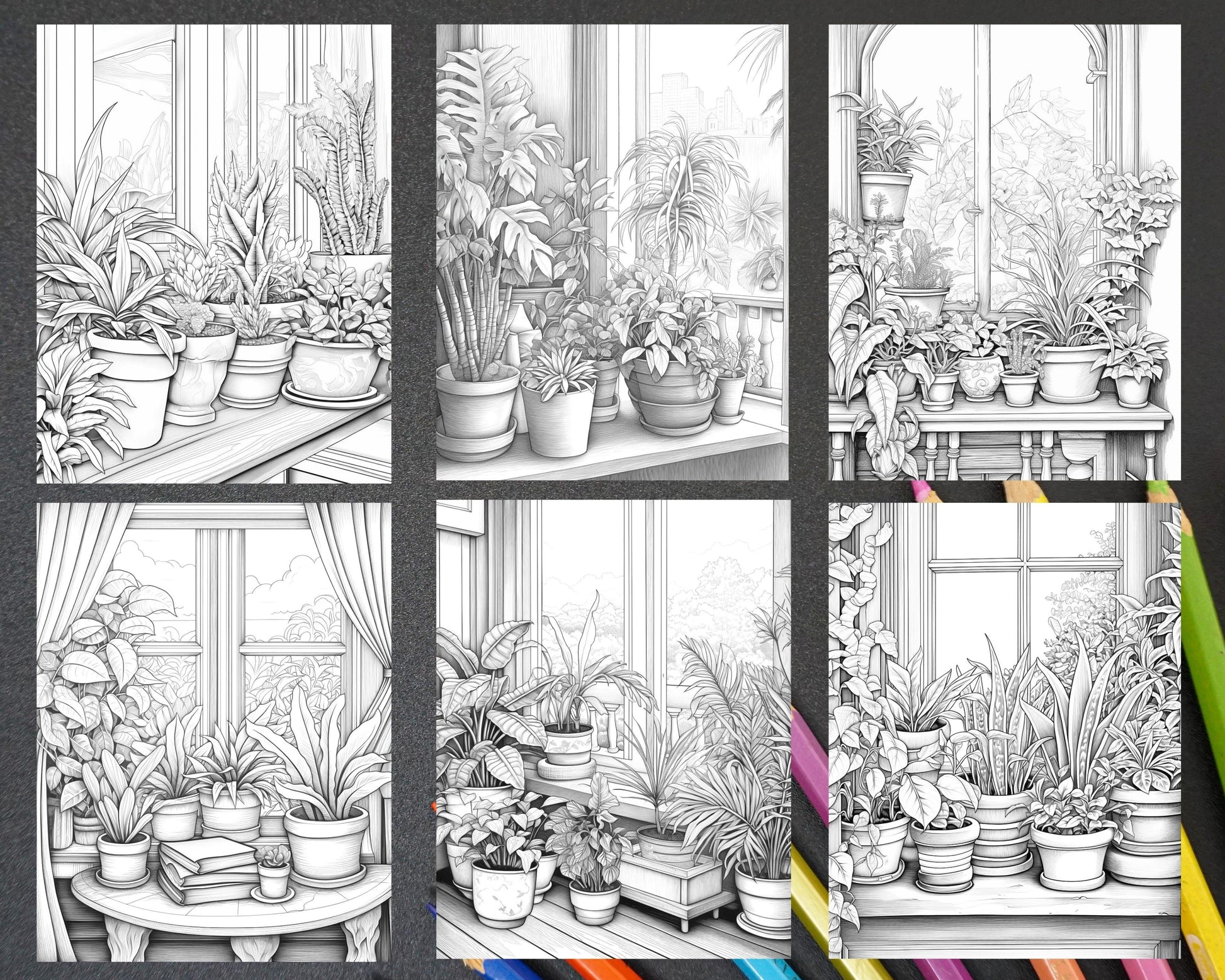 40 Window Plants Grayscale Coloring Pages Printable for Adults, PDF File Instant Download